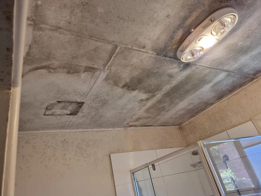 Mouldy bathroom ceiling with light fixture