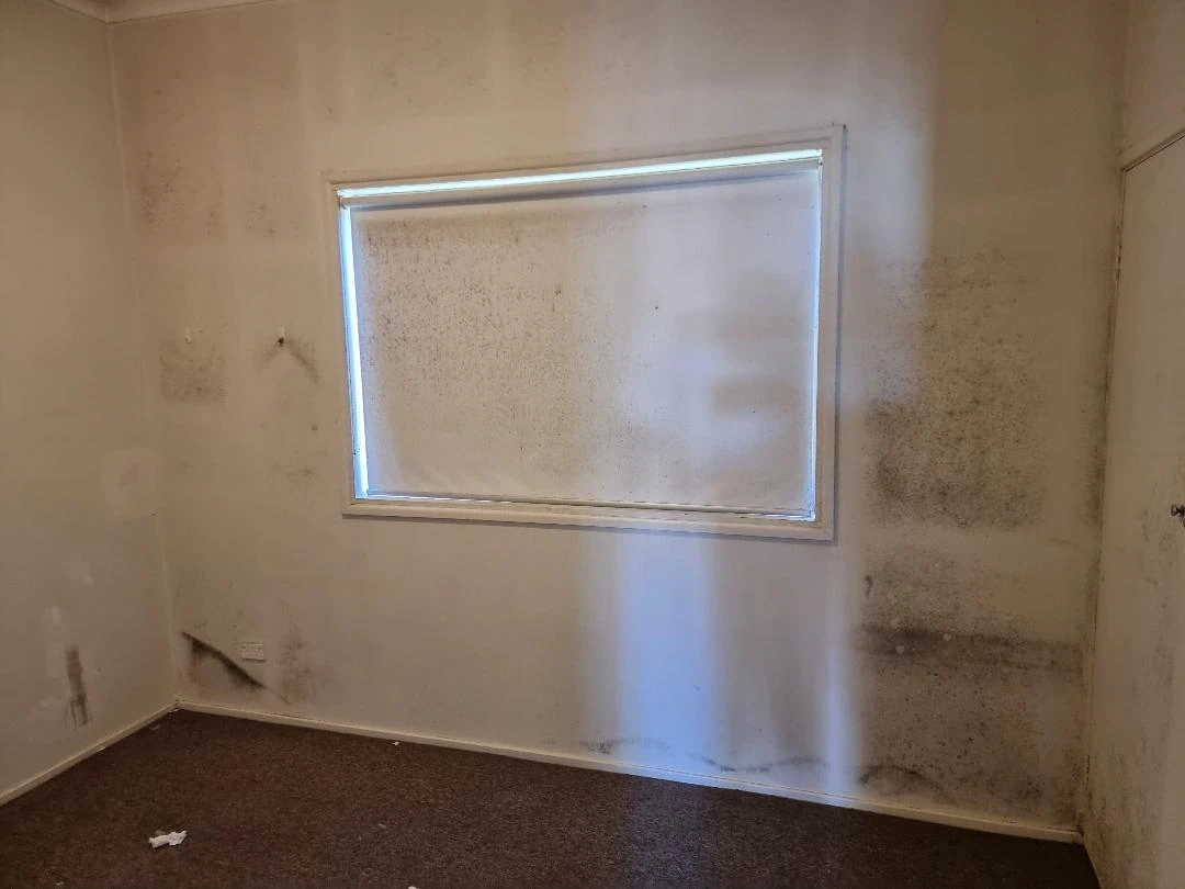 Mouldy room with dirty walls and window