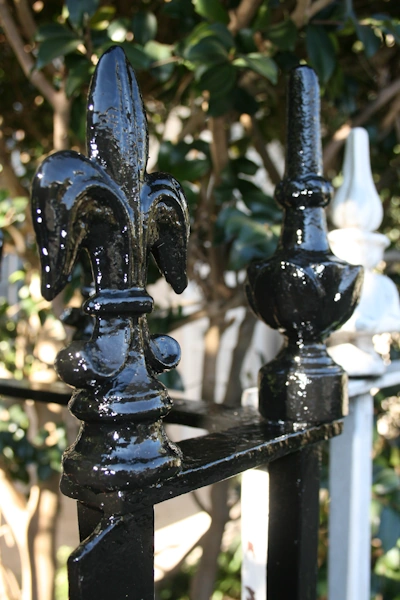 Black iron fence with fleur-de-lis designs
