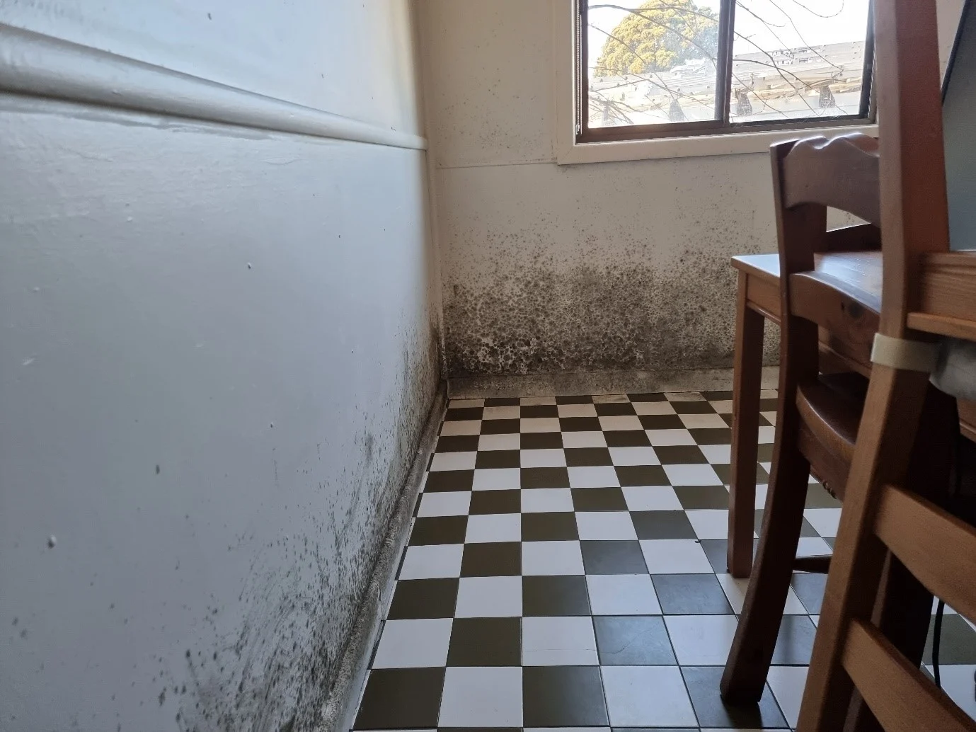 Moldy wall beside checkered tile floor and wooden chair