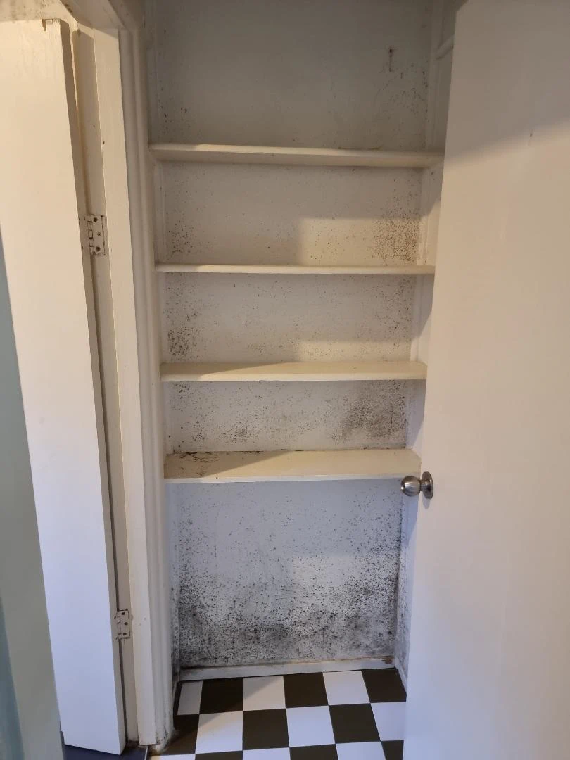 Open storage cupboard with untreated mold on walls